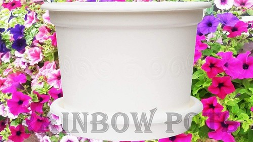 Plastic plant pot colour - plant,