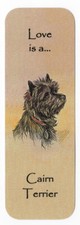 CAIRN TERRIER BEAUTIFUL DOG