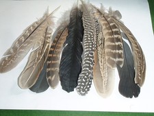 MIXED QUILL FEATHERS. 2NDS