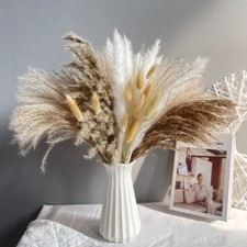 15x Natural Dried Flowers