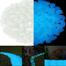 200pcs Glow in The Dark Garden