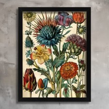 Vintage Botanical Illustration