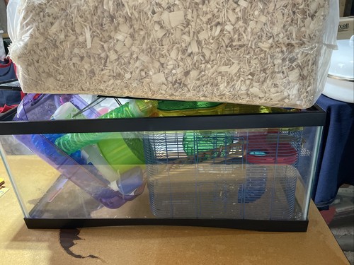 Hamster cage used comes - hamster, used.