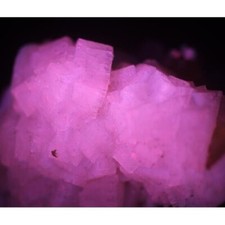 KB: GREAT FL. & PHOS