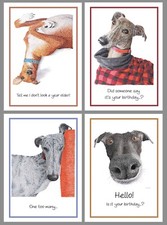 Greyhound birthday blank cards