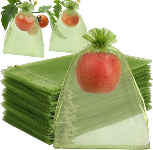 Fruit protection bags - fruit, green