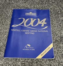 Aintree 2004 Grand National