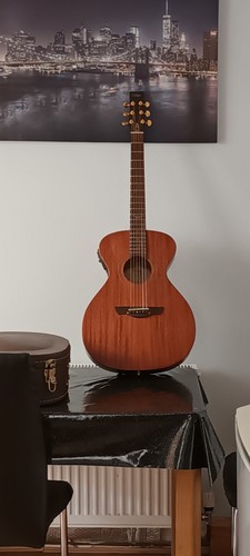 Gordon giltrap v200mgg vintage - gordon,