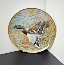 Basil Ede Water Birds Mallard