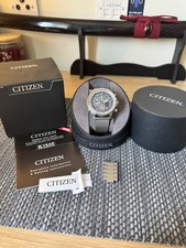 Citizen Eco Drive Promaster