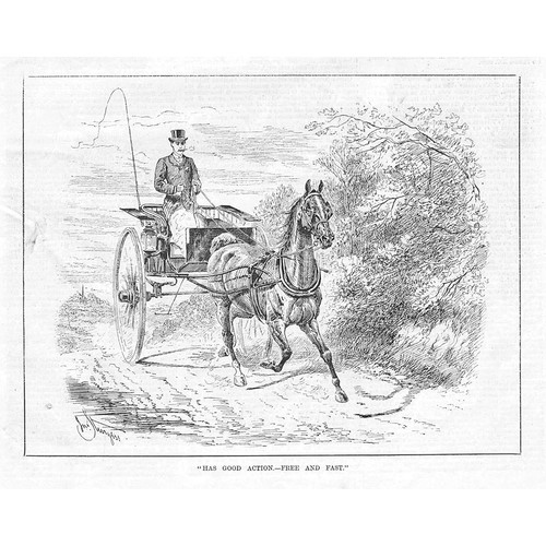 Victorian horse carriage - victorian, &