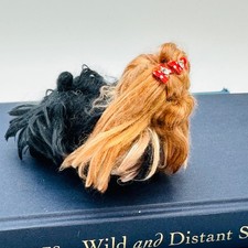 Miniature yorkshire terrier - yorkshire,