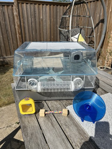 Pets home hamster - pets,