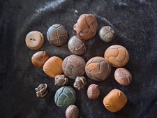 Reclaimed, recycled vintage