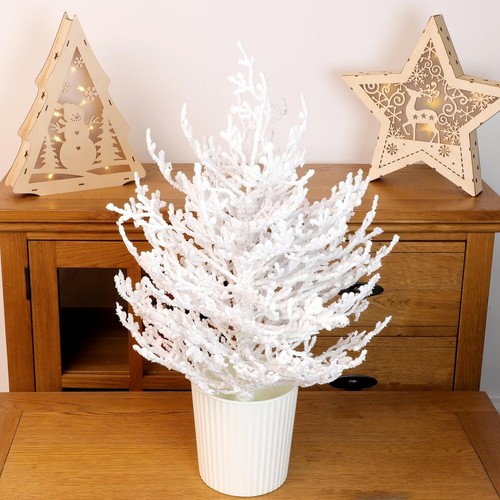 Christmas concepts 2ft - 2ft, (24")