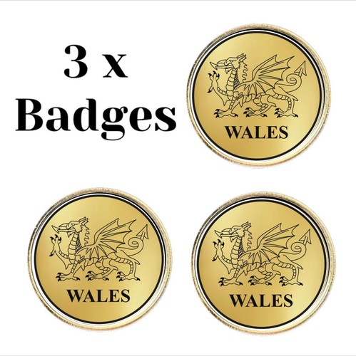 Wales dragon lapel - dragon,