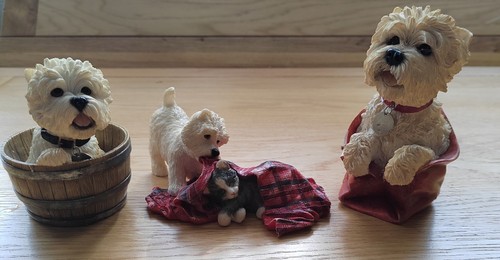 White west highland - white, terrier