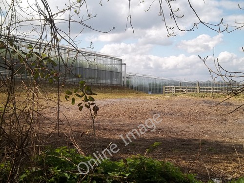 Photo 6x4 lots glass 2 - lots,