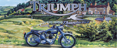 Triumph thunderbird mug - thunderbird, mug.old