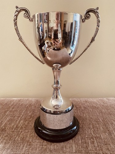 Silver trophy - silver,