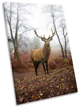 Deer Stag Highlands Picture CANVAS WALL ART Portrait Print