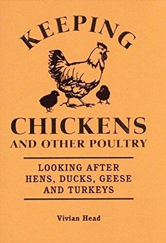 Keeping chickens and other - chickens,