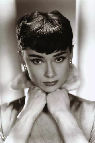 Audrey hepburn 4x6 - 4x6, celebrity