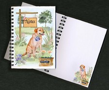Labrador retriever dog - labrador,