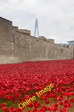 Photo 6x4 Tower poppies London