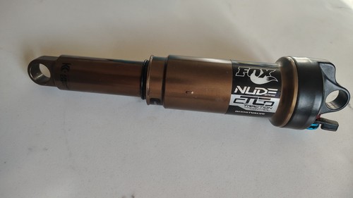 Fox nude ctd rear - ctd,
