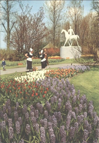 Vintage postcard holland - postcard,