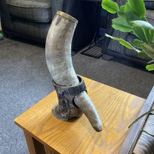 Viking Drinking Horn with