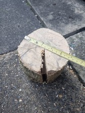 Green Spalted Unseasoned Box