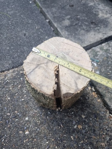 Green spalted unseasoned box - unseasoned,