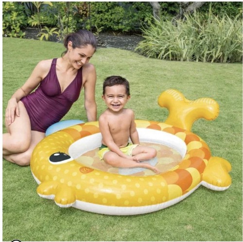 Inflatable fish paddling - paddling, pool