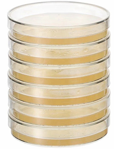 Prepoured agar plates - prepoured,