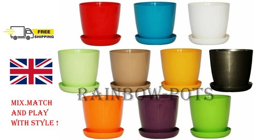 Flower pot colour gloss - gloss, decor
