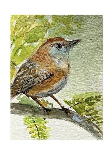Aceo kenna original - aceo, by