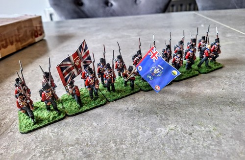 28mm napoleonic british - 28mm,