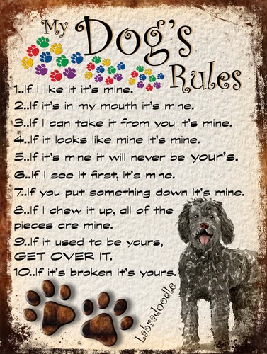 Dog rules retro - rules, style