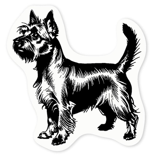 Silky terrier dog clear - 'silky, dog'
