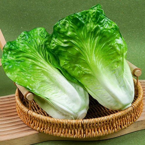 Artificial lettuce for - lettuce,