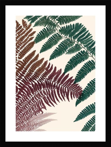 Pristine fern fronds - pristine,