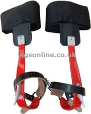 Aluminium tree climbing spikes - tree,