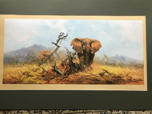 David shepherd signed print - shepherd,