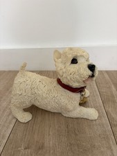 Large West Highland Terrier