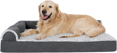 Orthopedic dog bed - dog, large