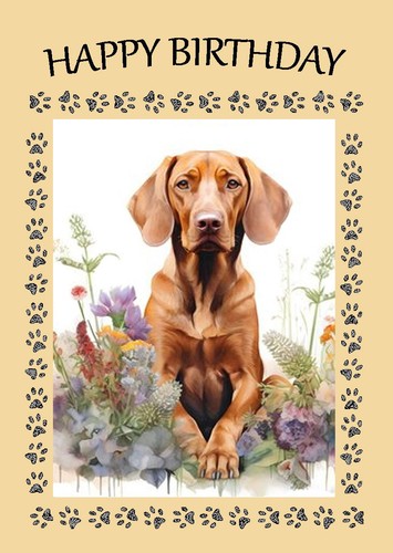 Hungarian vizsla dog birthday - dog,