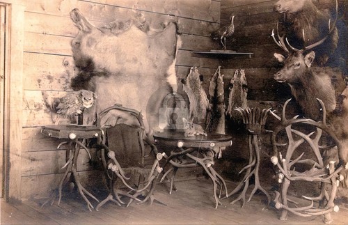 Taxidermy hunting trapper - hunting,