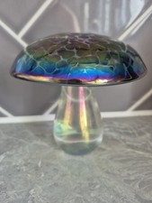 Irredescent Mushroom